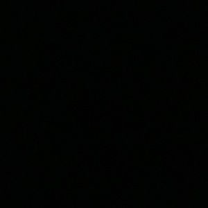 Meet your Posher, Traci